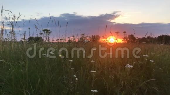 田野里的夏日夕阳视频的预览图