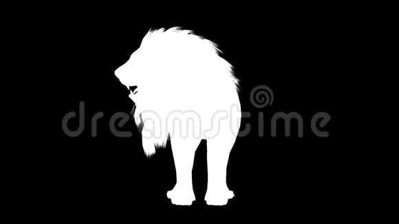 狮子的白色轮廓阿尔法频道阿尔法冰铜全高清视频的预览图