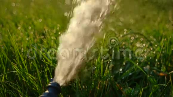 花园的浇水具有流量的管头视频的预览图