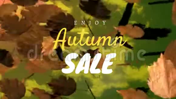 数字生成的秋季销售视频视频的预览图