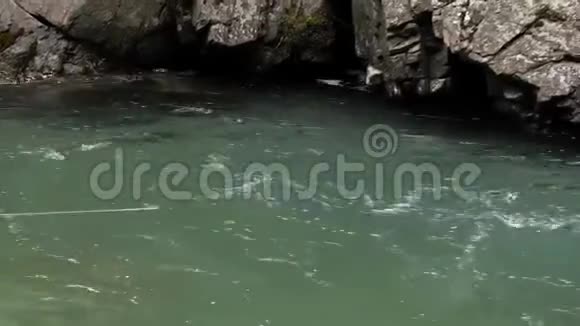 鳟鱼在夏天在山河里钓鱼视频的预览图
