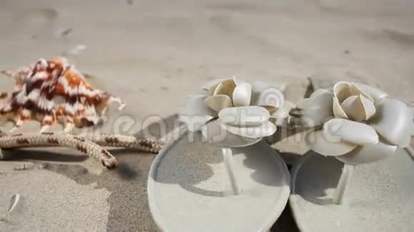 沙滩上的海星贝壳和绳子高清机动滑块1080便士视频的预览图