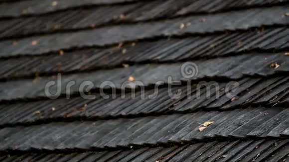 雪松木屋顶上的树叶剥落视频的预览图
