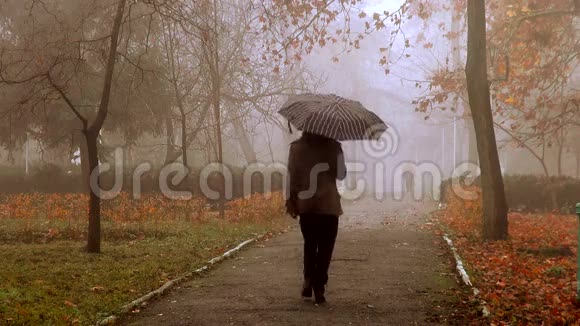 女孩在雾中走在秋天的小巷里视频的预览图