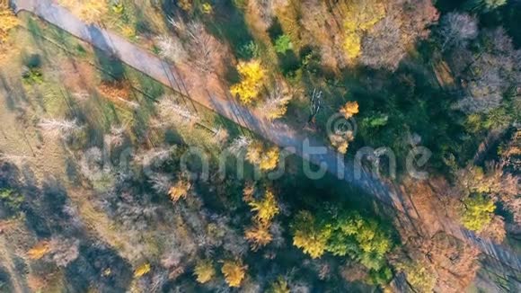 秋季森林顶部从无人机秋天公园视频的预览图