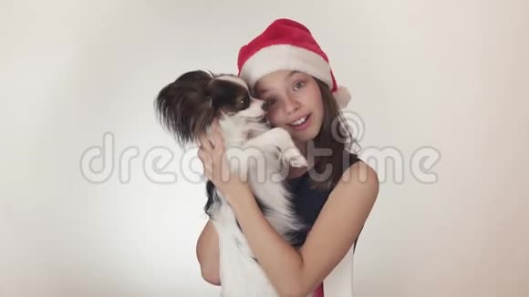 美丽的少女戴着圣诞老人的帽子和狗大陆玩具SpanielPapillon快乐地亲吻和愚弄周围视频的预览图