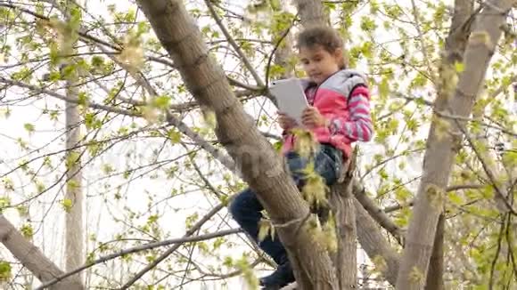 坐在树上玩平板电脑的少女视频的预览图