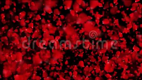 循环爱在空中美丽的玫瑰花瓣背景情人节婚礼生日生日邀请等视频的预览图