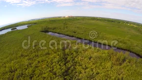 迈阿密自然保护区和红树林空中4k视频视频的预览图