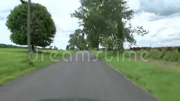 沿着新英格兰的道路行驶视频的预览图