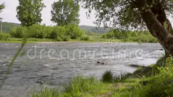 河流景观河水流淌夏季自然背景视频的预览图