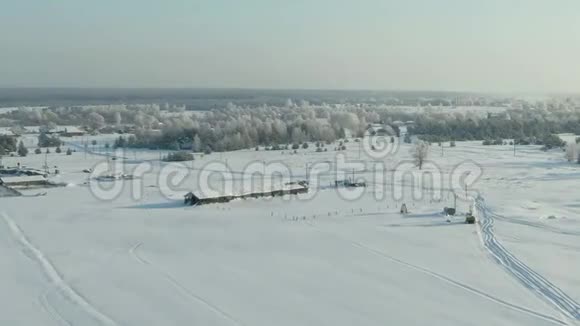 冬天田野里覆盖着雪冬季景观的农村森林田野树木覆盖雪视频的预览图