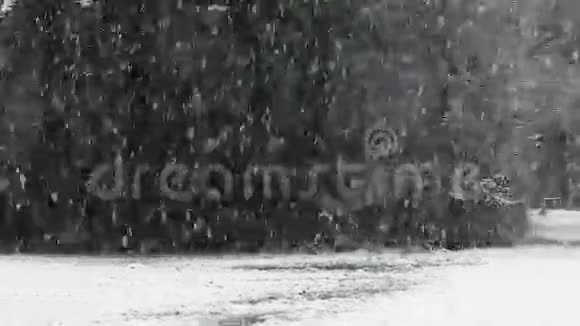 大雪湖效雪视频的预览图