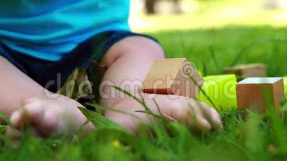 宝宝在草地上玩积木视频的预览图