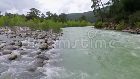 从上往下看快速移动的河流急流被松林包围视频的预览图