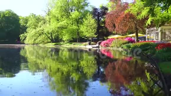 公园里的春天池塘视频的预览图