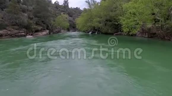 从上往下看快速移动的河流急流被松林包围视频的预览图