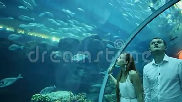 男人和女孩在水下水族馆里散步视频的预览图