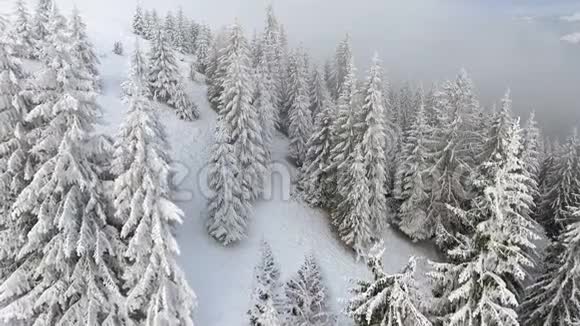冻得非常漂亮的树冬天的故事值得欣赏的风景极好的山视频的预览图