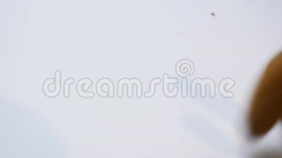 杏仁落在白色背景上视频的预览图