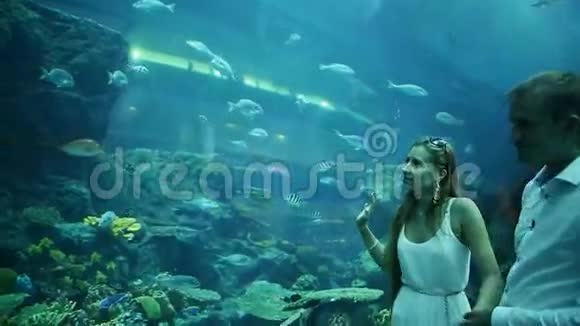 男人和女孩在水下水族馆里散步视频的预览图