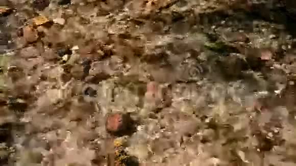 水流河流水下的小卵石视频的预览图