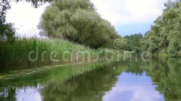 多瑙河三角洲的河流视频的预览图