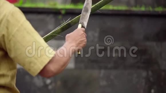 棕榈叶装饰视频的预览图