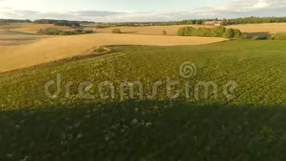 在有机大麦场上空飞行视频的预览图