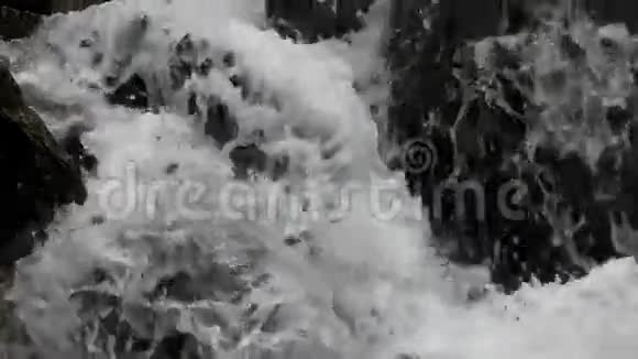 喀尔巴阡山脉森林中的瀑布视频的预览图
