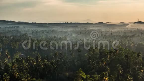 斯里兰卡森林的时间推移4K录像视频的预览图
