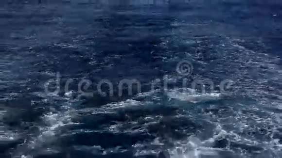 海鸥从爱琴海的船上飞过视频的预览图