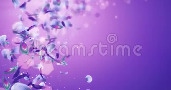 飞行模糊浪漫蓝色紫色紫罗兰花瓣占位符环4k视频的预览图
