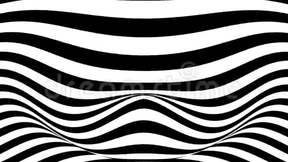 黑白条纹抽象动画视频的预览图