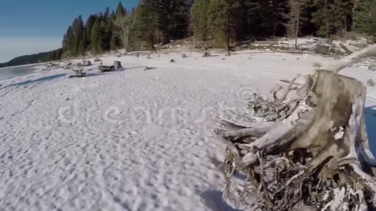 爱达荷州山湖的冬季海岸线视频的预览图