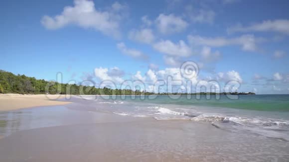 沙滩上有椰子棕榈金色沙滩蓝天和阳光视频的预览图