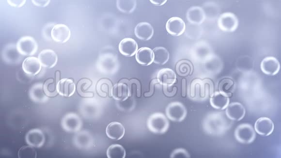 缓慢移动气泡上升的肥皂泡漂浮和向上循环视频的预览图