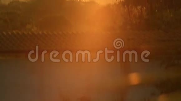 清晨的太阳在日出时透过椰子树升起视频的预览图