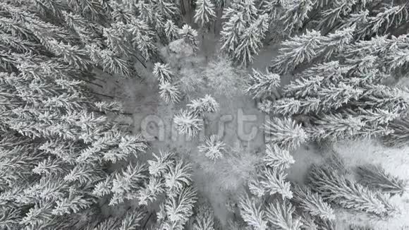 冻得非常漂亮的树冬天的故事值得欣赏的风景极好的山视频的预览图