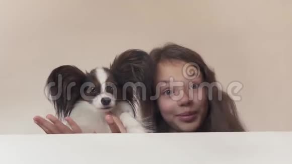 美丽的少女和狗大陆玩具SpanielPapillon亲吻和愚弄白色背景股票视频的预览图