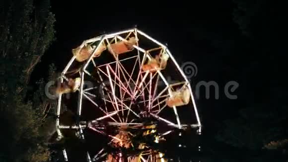 夜间游乐园摩天轮视频的预览图