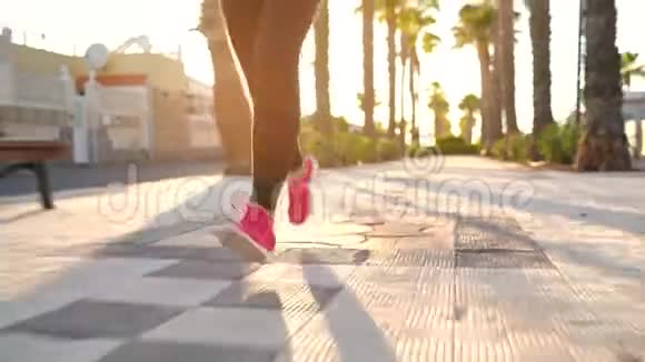 日落时分女人沿着棕榈沿着棕榈大道奔跑视频的预览图