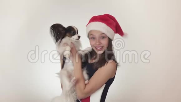 美丽的少女戴着圣诞老人的帽子和狗大陆玩具SpanielPapillon快乐地亲吻和愚弄周围视频的预览图