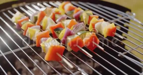 健康的彩色烤肉串与新鲜蔬菜视频的预览图