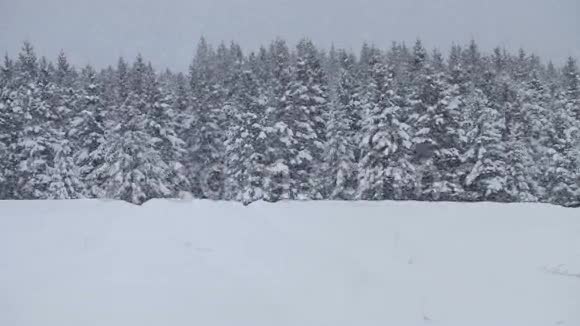 孤独的人雪花中的雪花视频的预览图