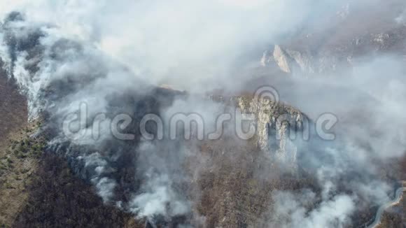 一个空中和移动的镜头显示了树林的火焰浓烟覆盖了整个地区视频的预览图