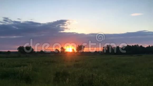 田野里的夏日夕阳视频的预览图