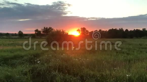 田野里的夏日夕阳视频的预览图