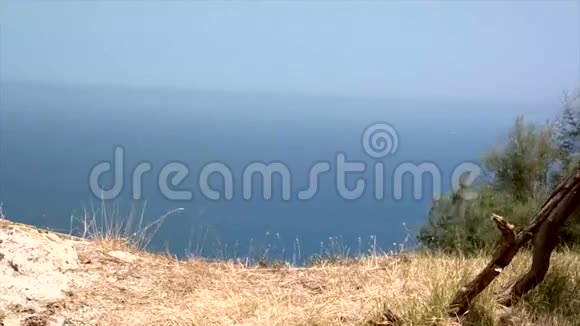 有高山和草木的海景视频的预览图