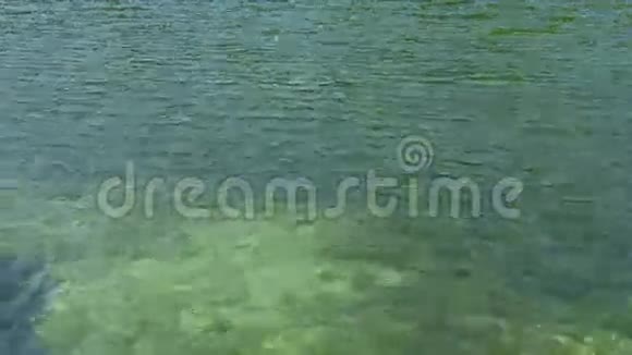 Mljet岛上荒芜的沙滩视频的预览图
